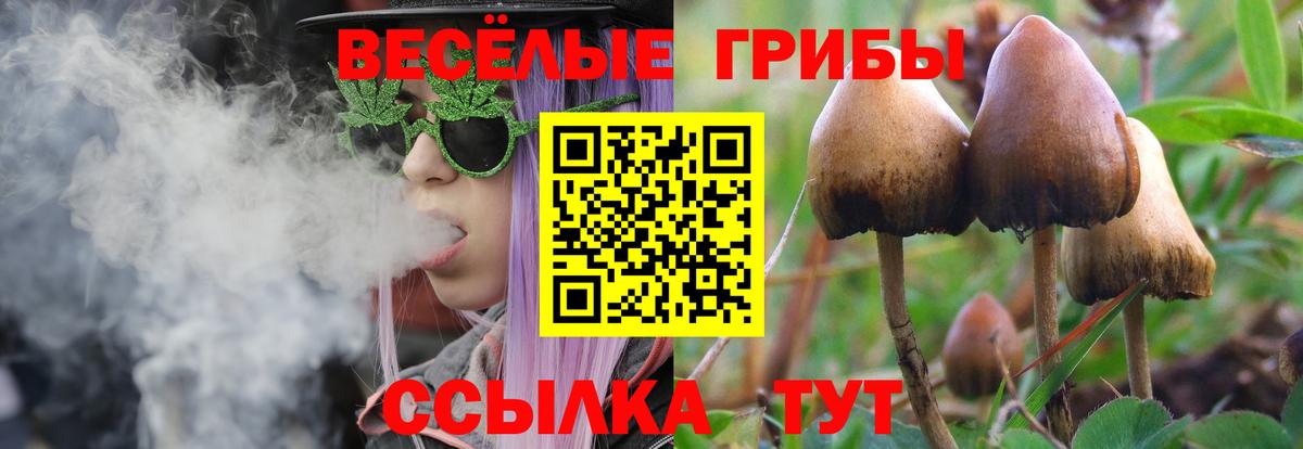 закладка  Вход с VPN  Элиста  Псилоцибиновые грибы Magic Shrooms  Псилоцибиновые грибы мухоморы 